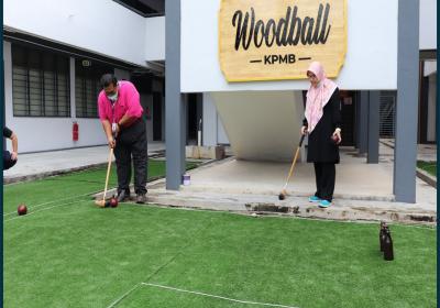 Woodball3