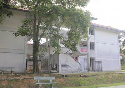 Kamsis 3