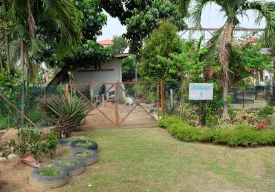 Agro5